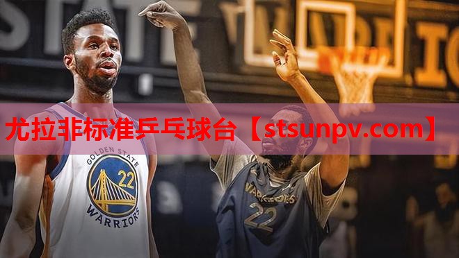 尤拉非标准乒乓球台 尤拉非标准乒乓球台