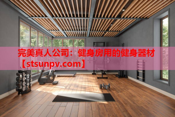健身房用的健身器材 健身房用的健身器材