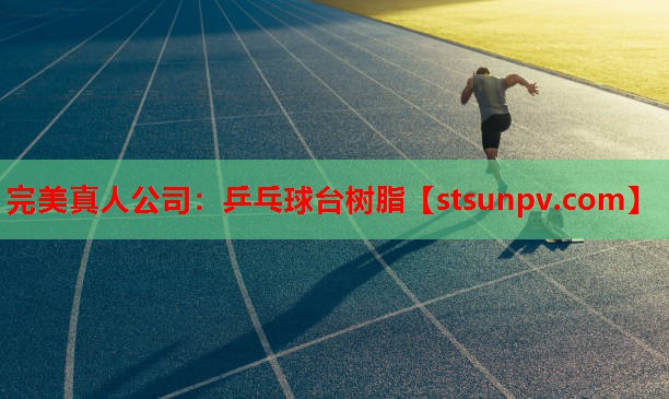 乒乓球台树脂 乒乓球台树脂