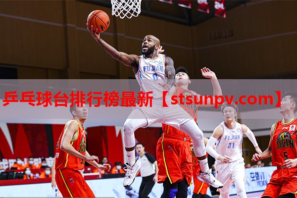 乒乓球台排行榜最新 乒乓球台排行榜最新