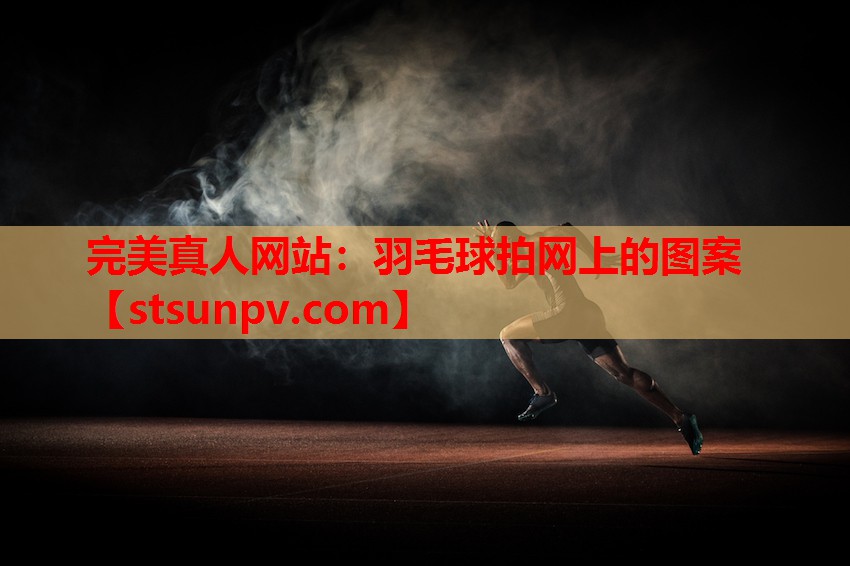 羽毛球拍网上的图案