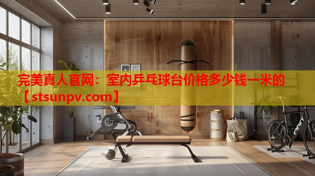 室内乒乓球台价格多少钱一米的 室内乒乓球台价格多少钱一米的
