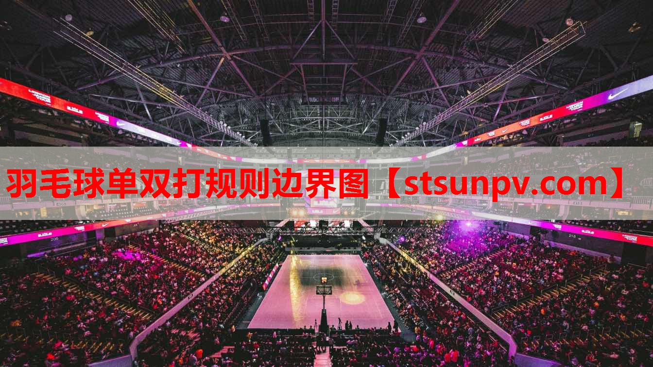 羽毛球单双打规则边界图 羽毛球单双打规则边界图